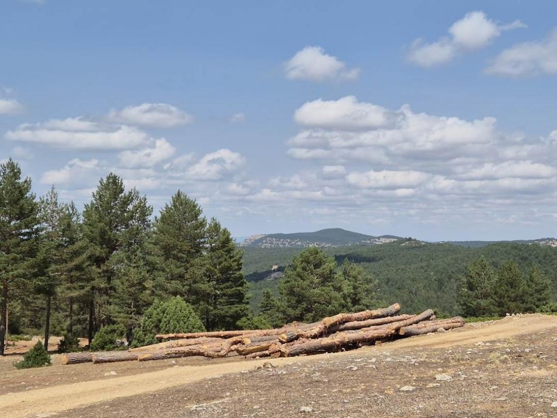 El Gobierno regional publica la convocatoria de ayudas para el fomento de agrupaciones de propietarios forestales privados El Gobierno regional publica la convocatoria de ayudas para el fomento de agrupaciones de propietarios forestales privados