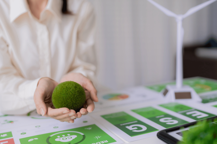 PERTE Descarbonización