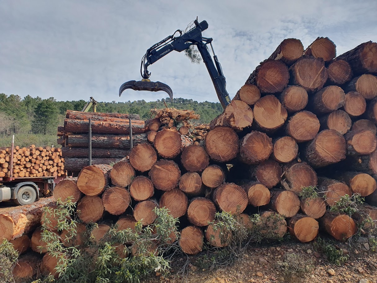 Mancomunidades forestales