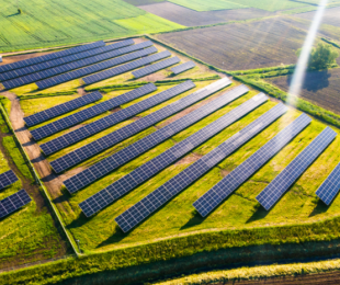 Transición Ecológica destina 148 millones a 199 proyectos pioneros con almacenamiento de agrivoltaica, renovables en infraestructuras y bomba de calor