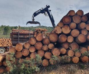 Mancomunidades forestales