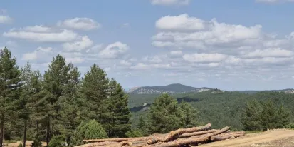 El Gobierno regional publica la convocatoria de ayudas para el fomento de agrupaciones de propietarios forestales privados