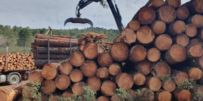 Mancomunidades forestales